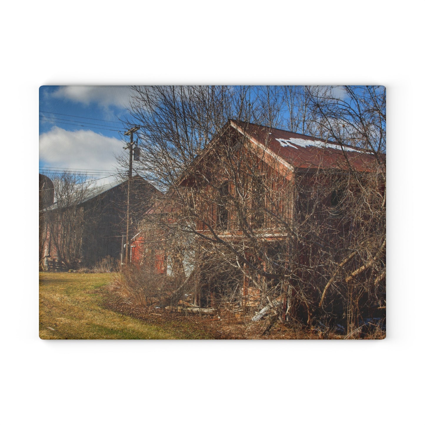 U R There Photography Buried Burnside Greys II Rustic Farmhouse Tempered-Glass Cutting Board