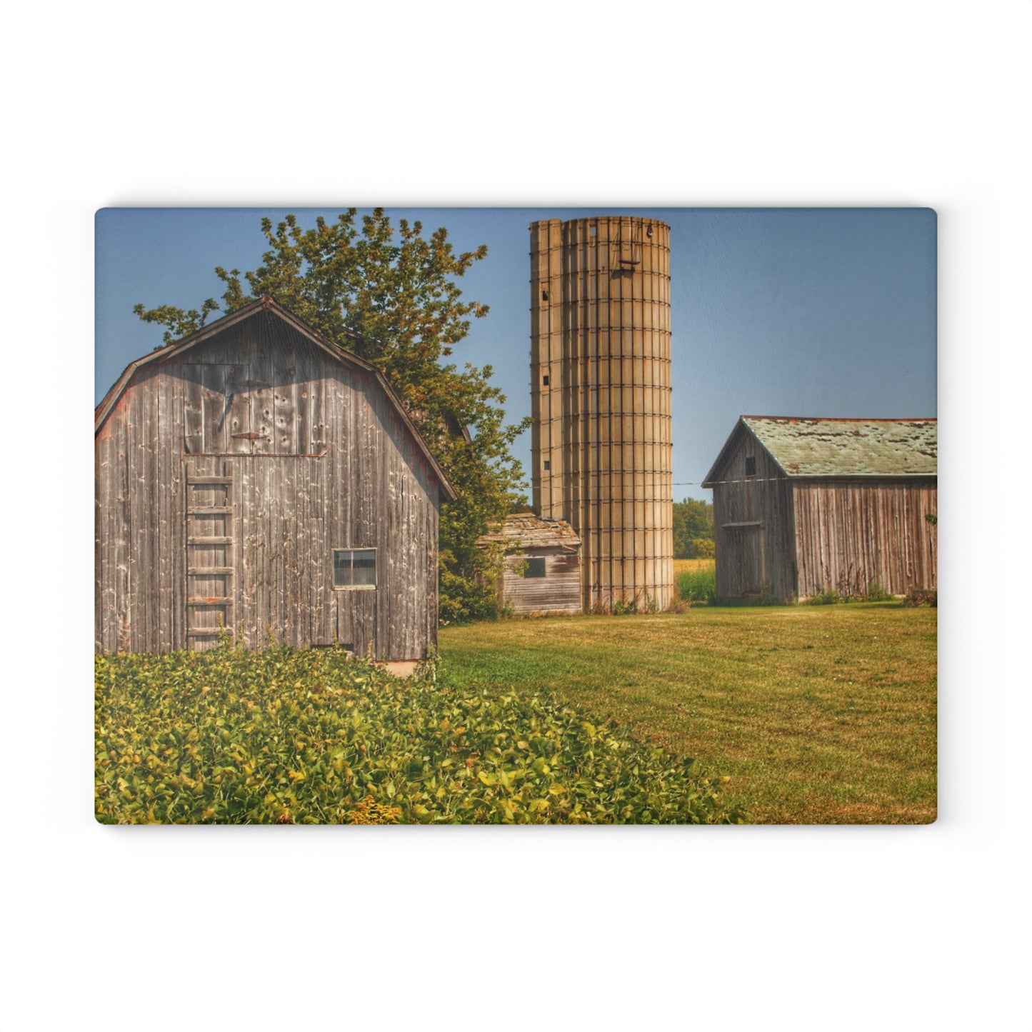 U R There Photography Swaffer Mini Greys and Silos Rustic Farmhouse Tempered-Glass Cutting Board