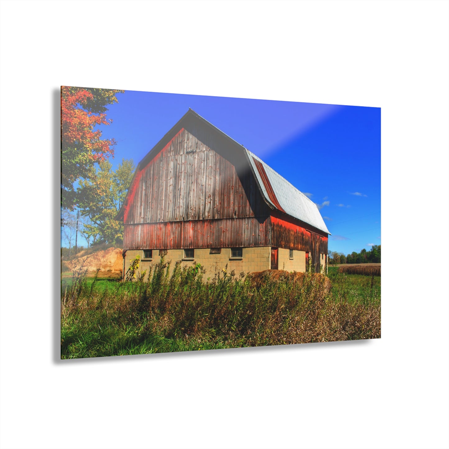 U R There Photography Byington Road Red II Rustic Farmhouse Acrylic Wall Print