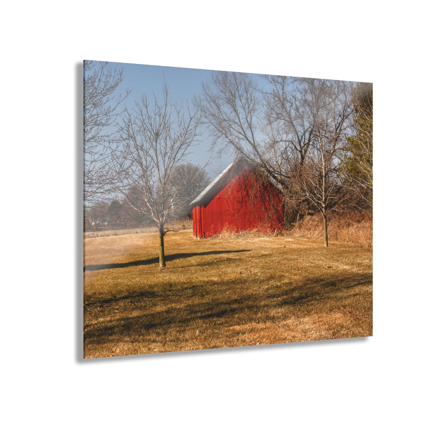 U R There Photography Romeo Plank Little Red Rustic Farmhouse Acrylic Analog Wall Clock