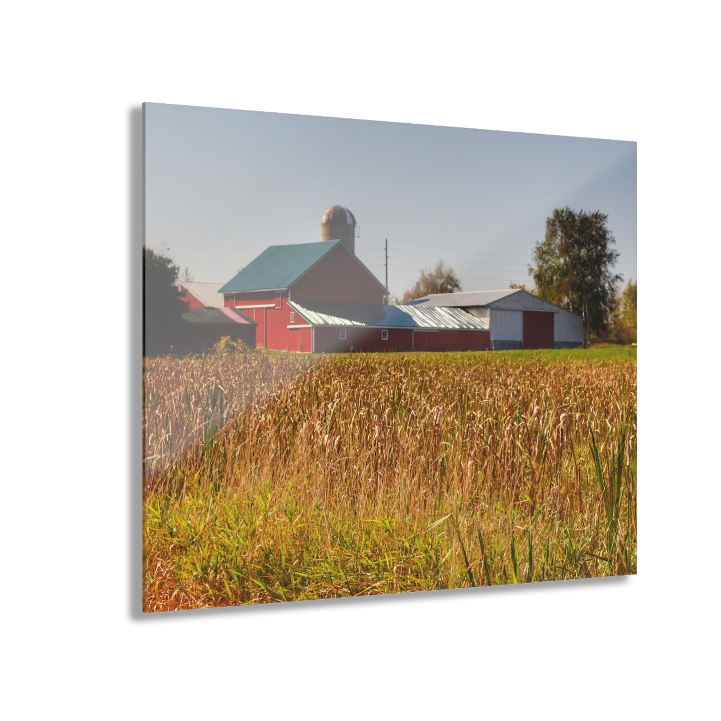 U R There Photography Oak Road Farm Rustic Farmhouse Acrylic Wall Print