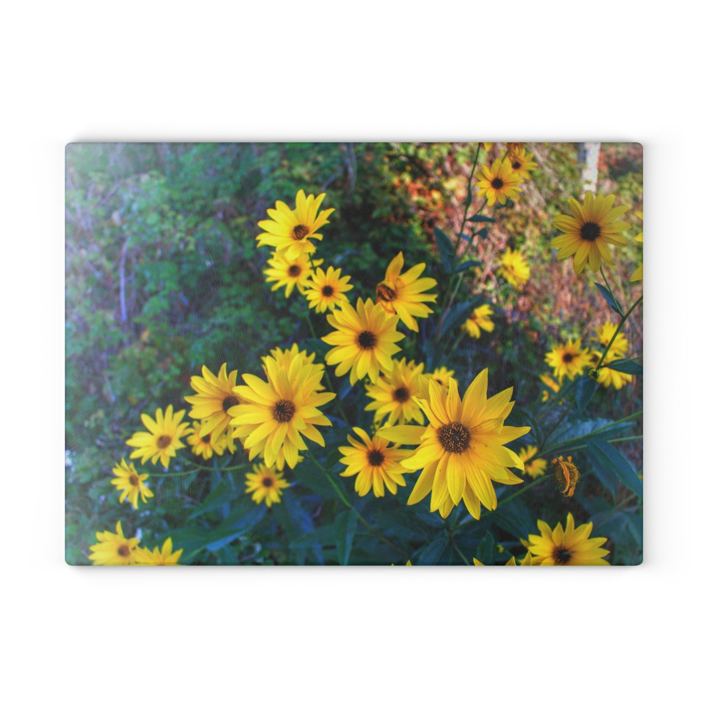 U R There Photography Bursts of Gold Rustic Farmhouse Tempered-Glass Cutting Board