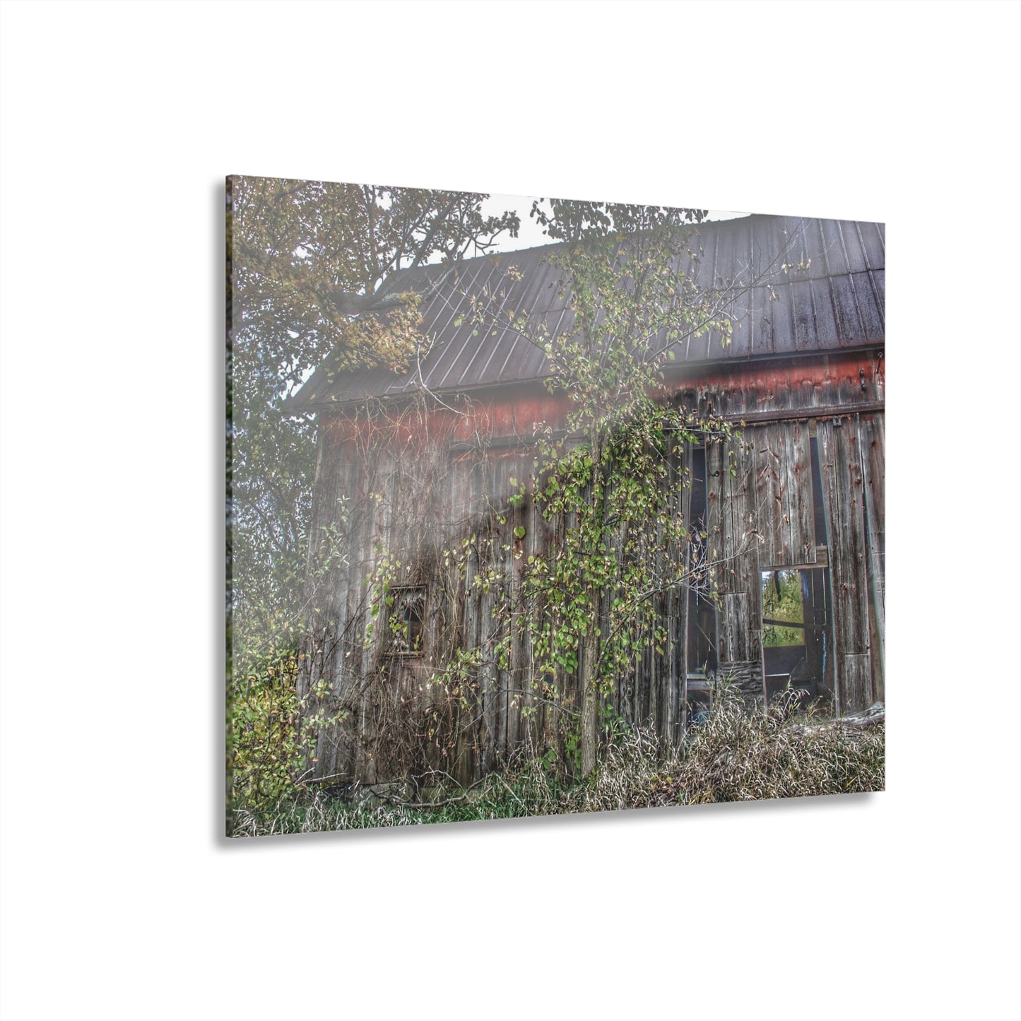 U R There Photography Annie's Barn II Rustic Farmhouse Acrylic Wall Print