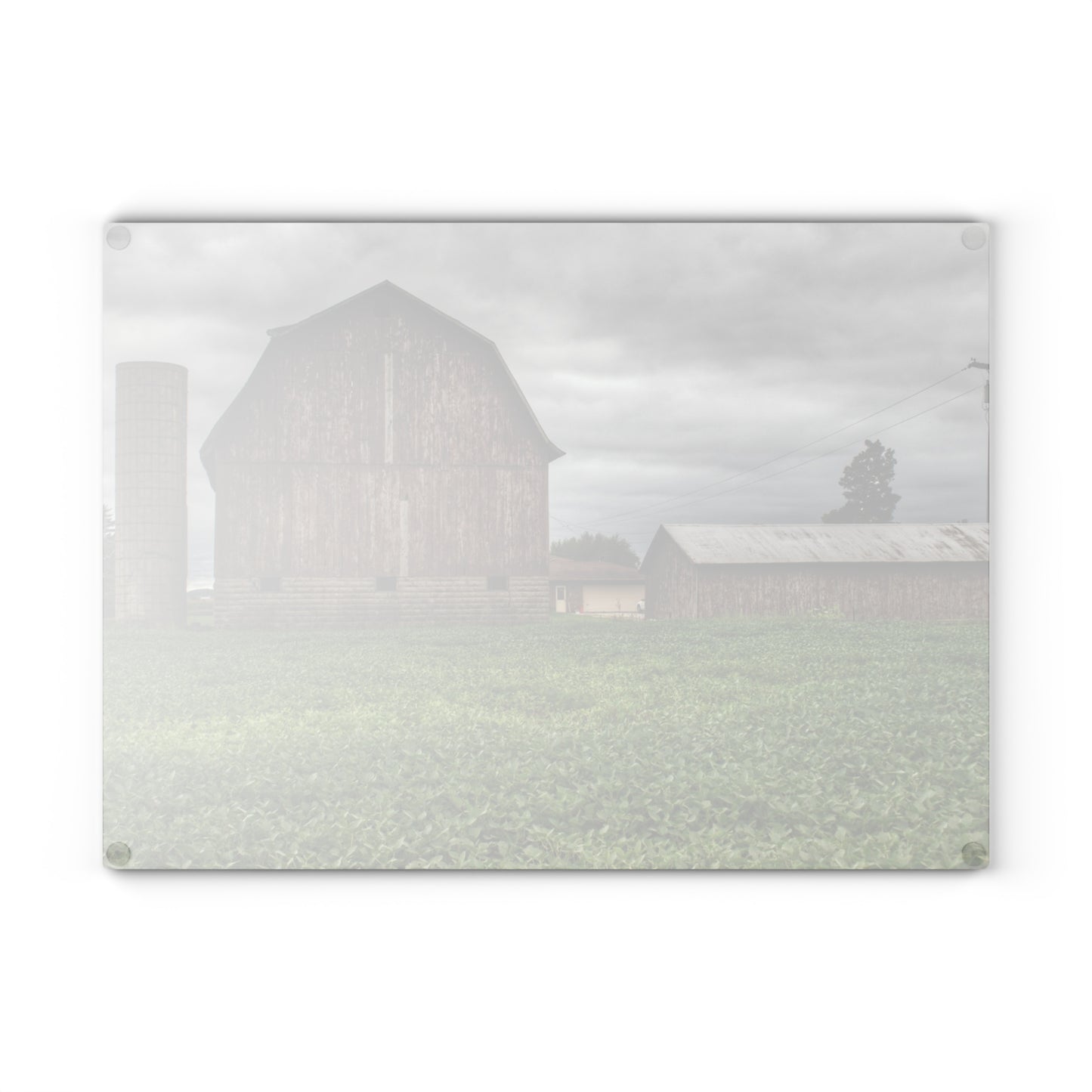 U R There Photography Van Geisen Road Grey Rustic Farmhouse Tempered-Glass Cutting Board