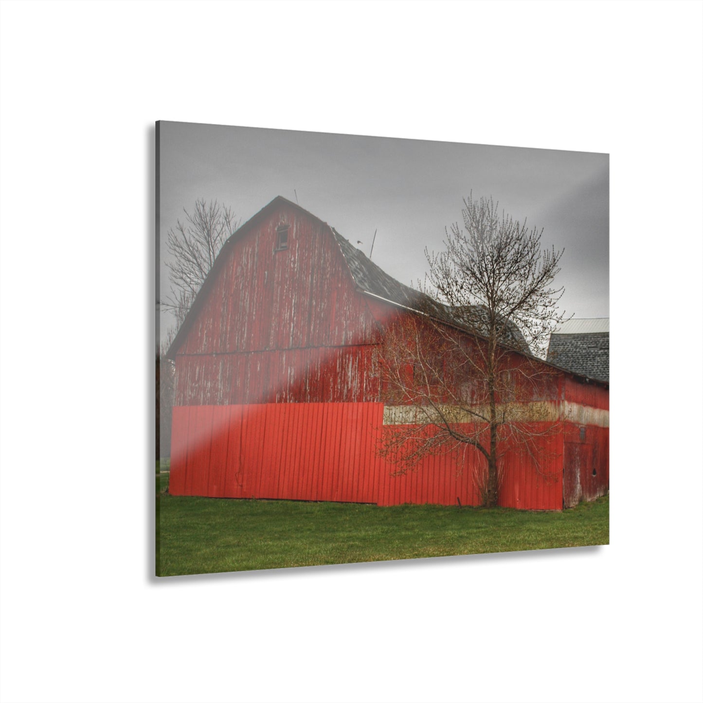 U R There Photography Almont Reds Rustic Farmhouse Acrylic Wall Print