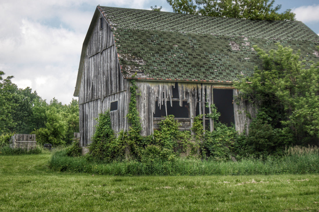 Hunters Creek Forgotten Grey| A Testament to the Thumb’s Timeless Renewal