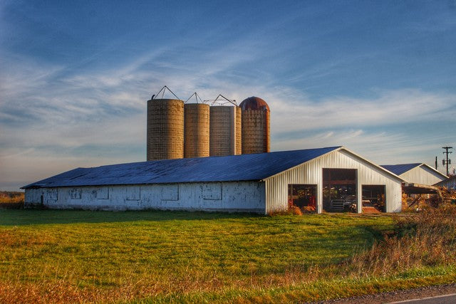 Peck White and Silos