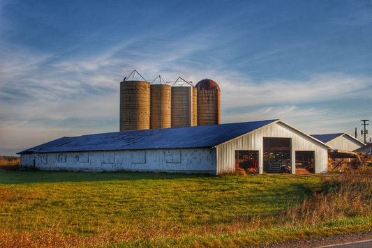 Peck White and Silos