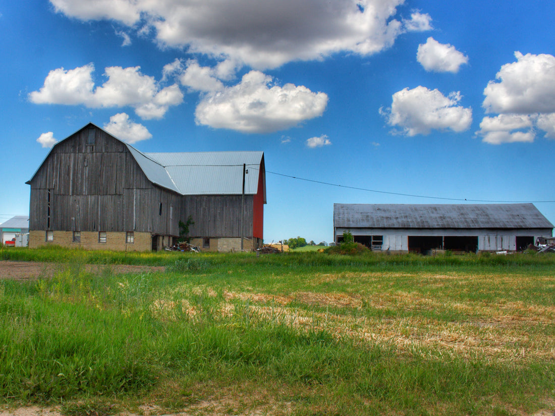 Cass City’s Elmwood Grey