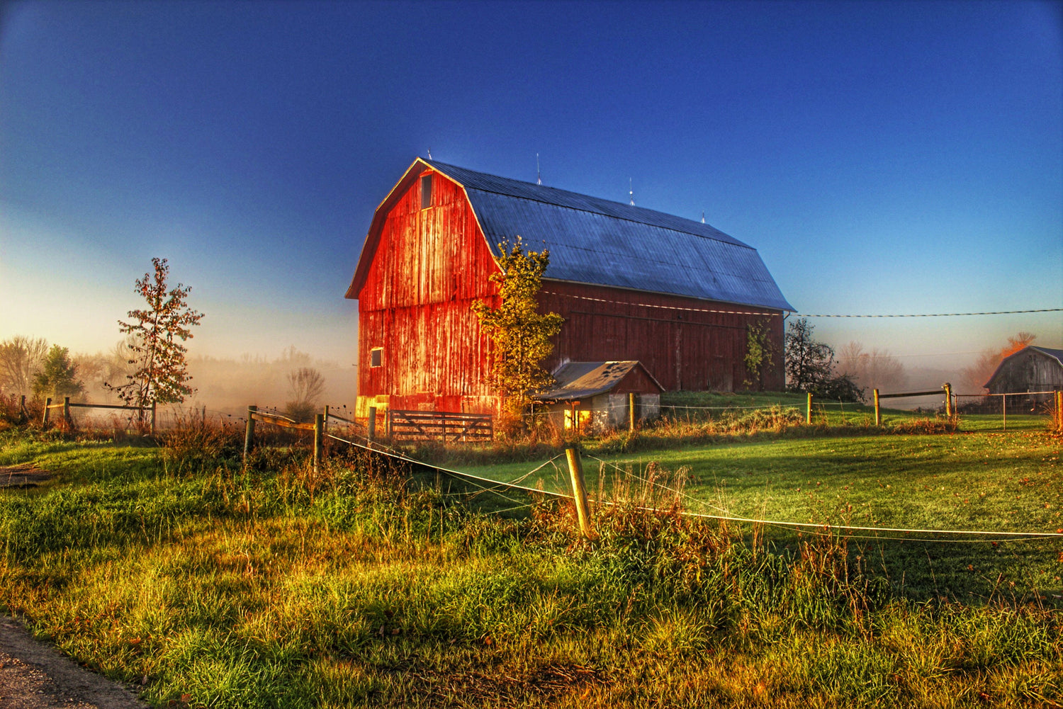 Red Barns Print Collection