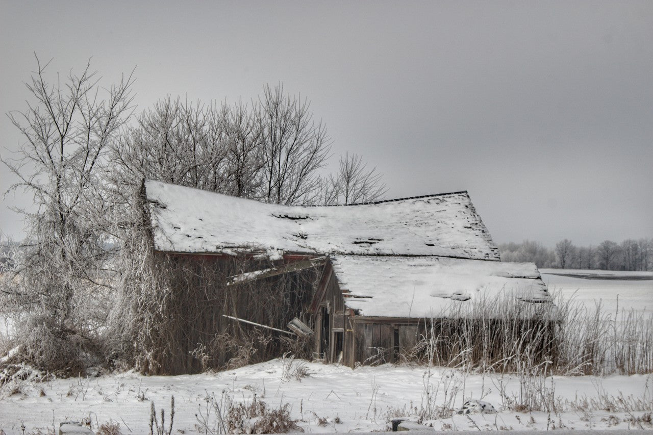 Shacks Print Collection