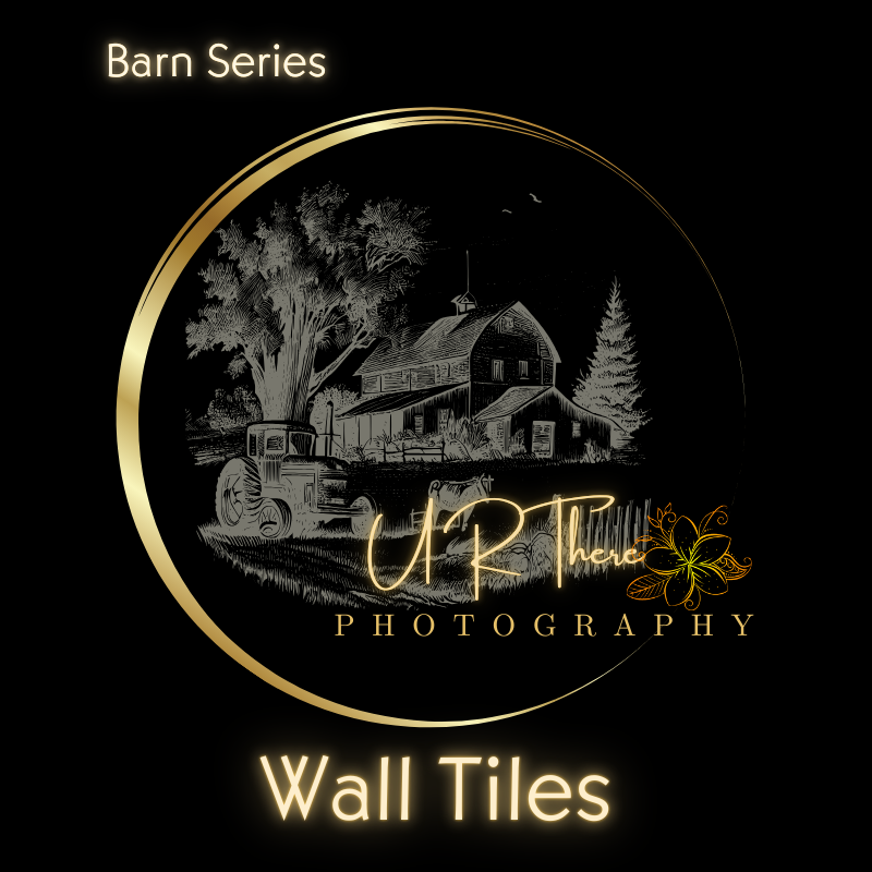 Ceramic Wall Tiles: Barn Series