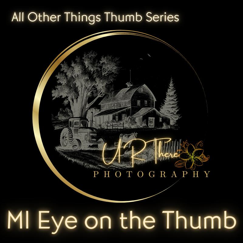  All Other Things Thumb Series