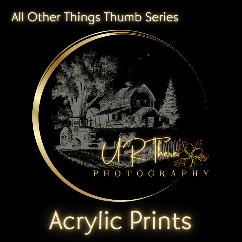 Acrylic Prints: All Other Things Thumb