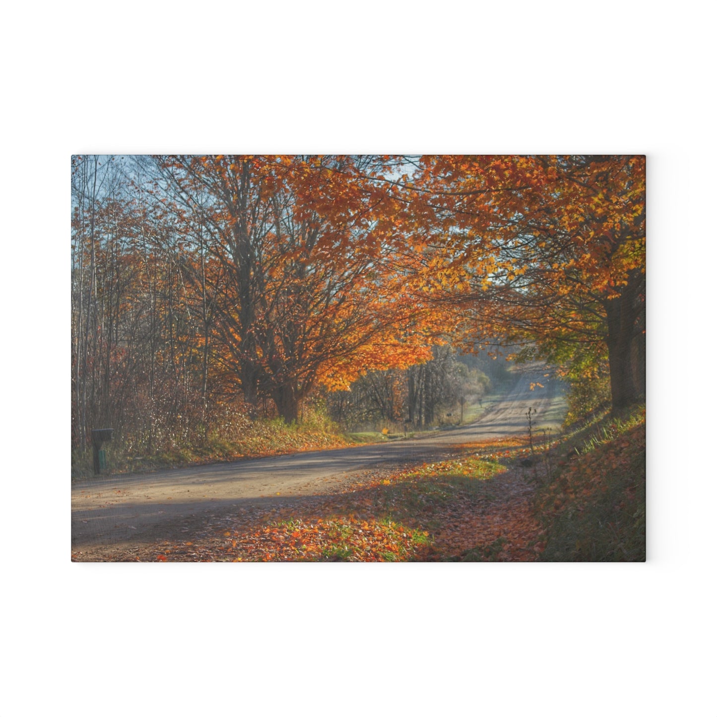 U R There Photography Fall on Oak Road Rustic Farmhouse Tempered-Glass Cutting Board