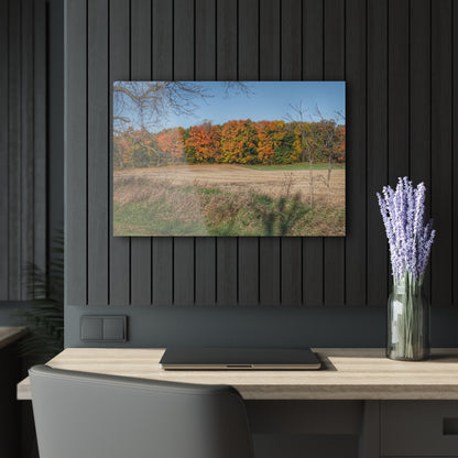 U R There Photography Fall on Piersonville Road Rustic Farmhouse Acrylic Wall Print