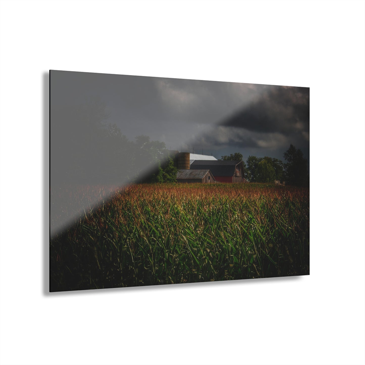 U R There Photography Bishop Road Beyond the Corn Rustic Farmhouse Acrylic Wall Print