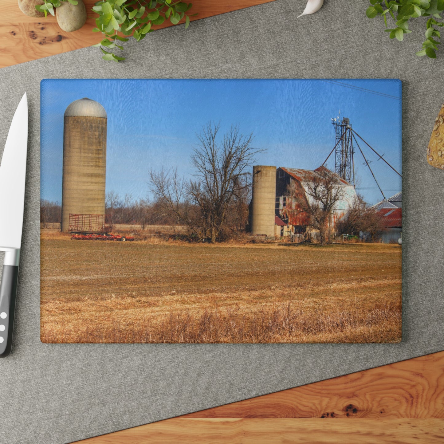 U R There Photography North Cemetery Roads Forgotten Grey Rustic Farmhouse Tempered-Glass Cutting Board