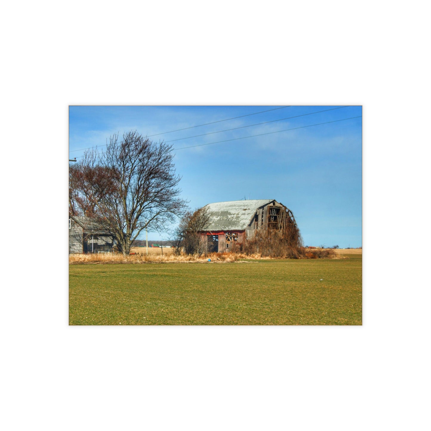 U R There Photography Bay City - Forestville Forgotten Grey Rustic Farmhouse Decorative Ceramic Tile