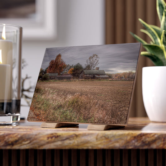 U R There Photography Birch Run Road Greys II Rustic Farmhouse Decorative Ceramic Tile