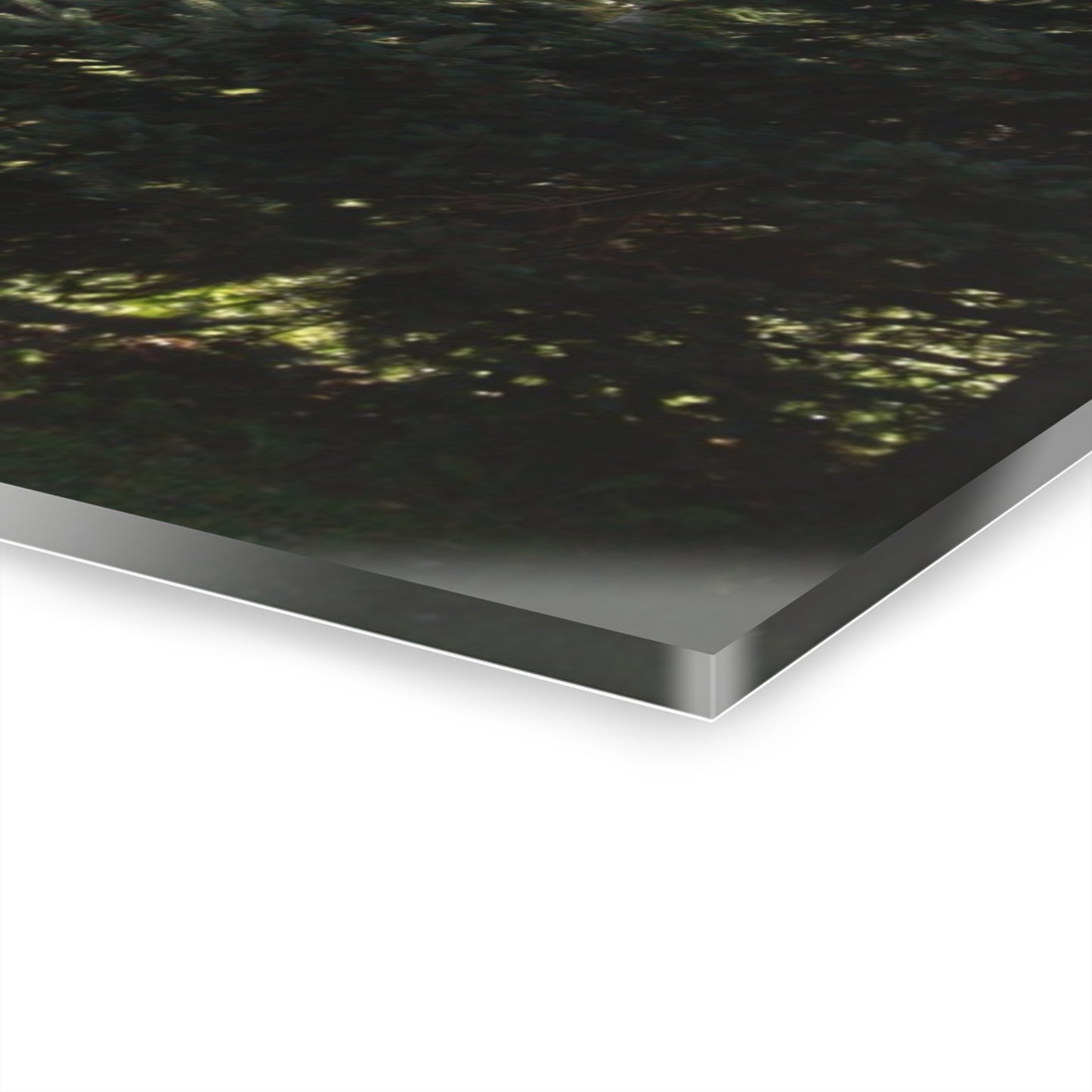 U R There Photography Five Lakes Road White Rustic Farmhouse Acrylic Wall Print