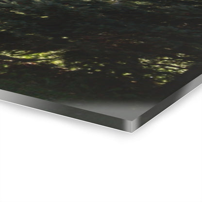 U R There Photography Five Lakes Road White Rustic Farmhouse Acrylic Wall Print