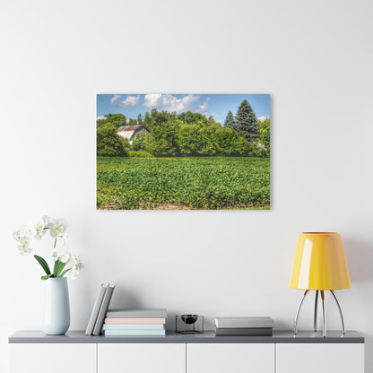 U R There Photography Canada Road Hidden Rustic Farmhouse Acrylic Wall Print