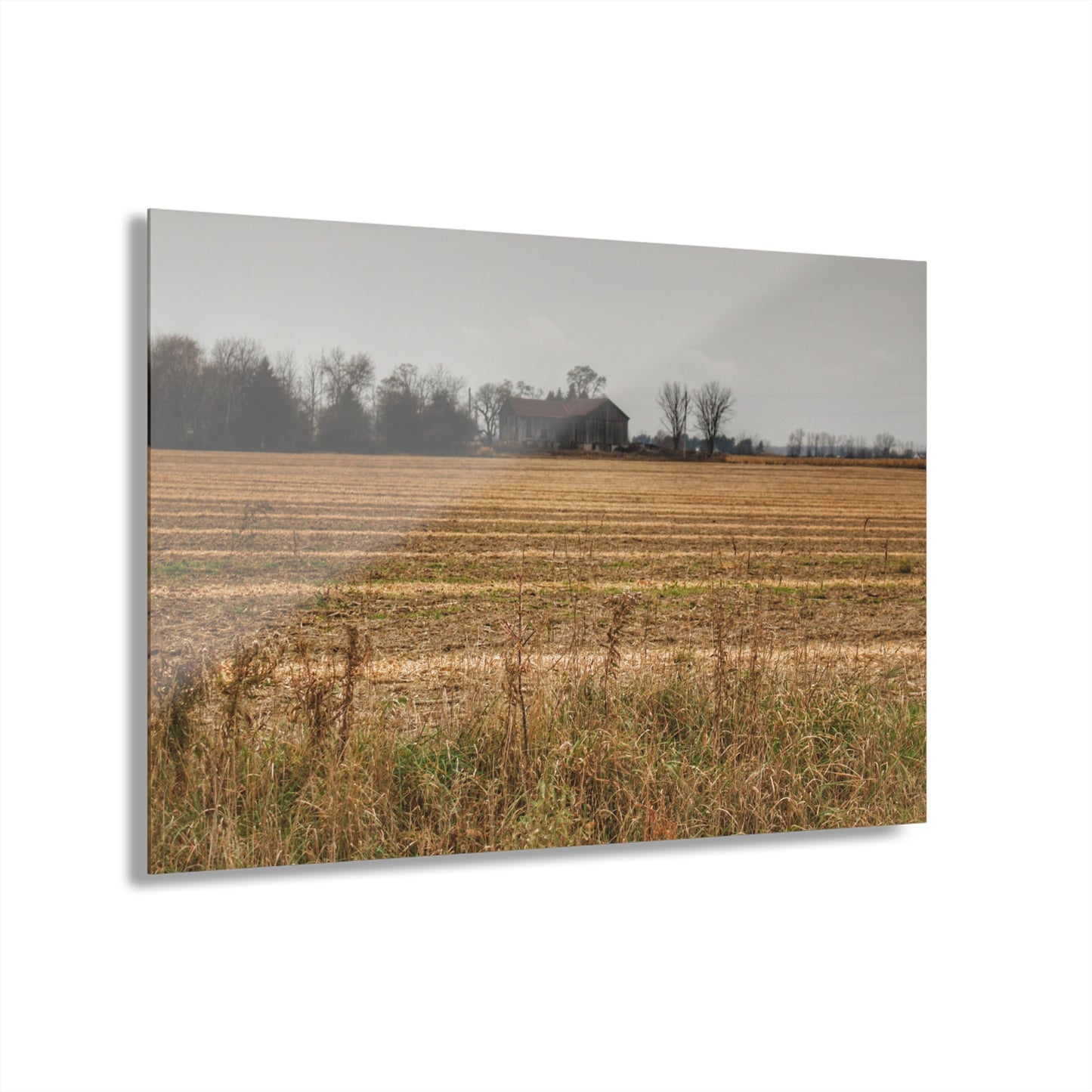 U R There Photography Freiberger Road Grey Across the Field Rustic Farmhouse Acrylic Wall Print