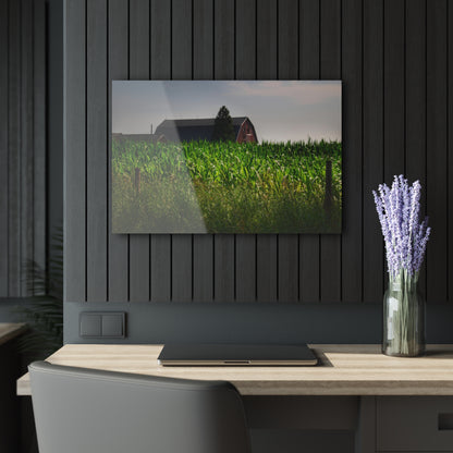 U R There Photography Beyond the Corn in Metamora Rustic Farmhouse Acrylic Wall Print