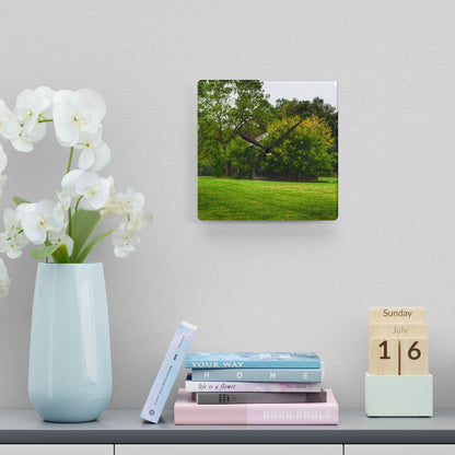 U R There Photography Hidden Past Rustic Farmhouse Acrylic Analog Wall Clock