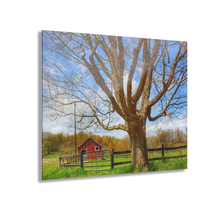 U R There Photography Delano Oak and Little Red Rustic Farmhouse Acrylic Wall Print