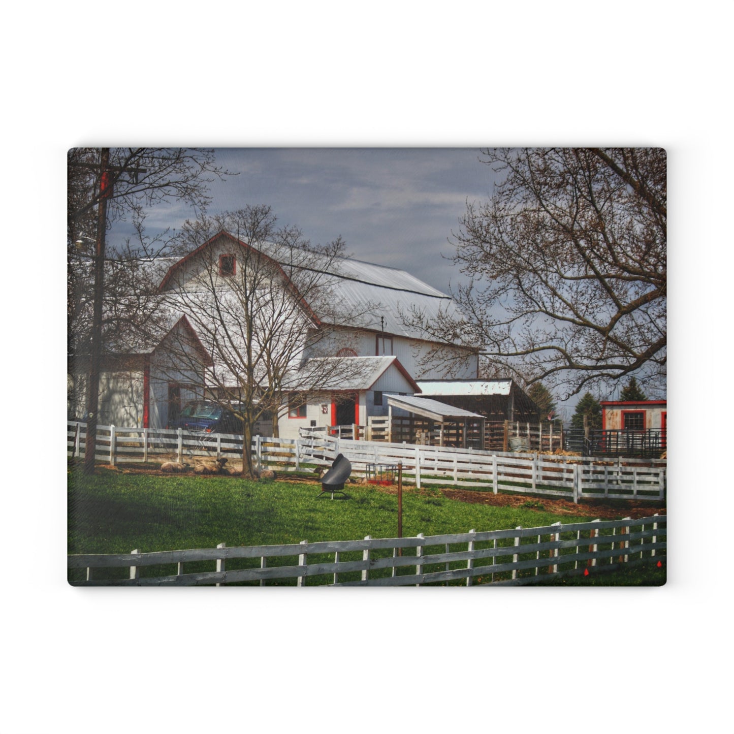 U R There Photography Henderson Whites Rustic Farmhouse Tempered-Glass Cutting Board
