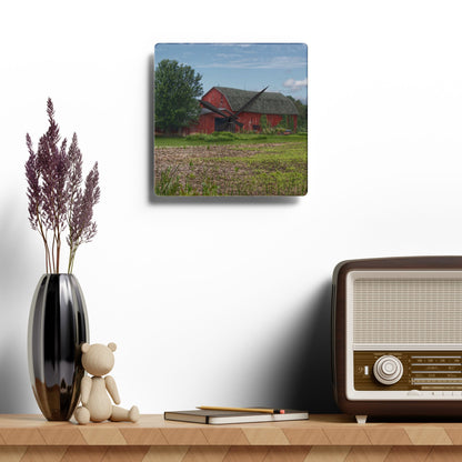 U R There Photography Murphy Lake Road Reds Rustic Farmhouse Acrylic Analog Wall Clock
