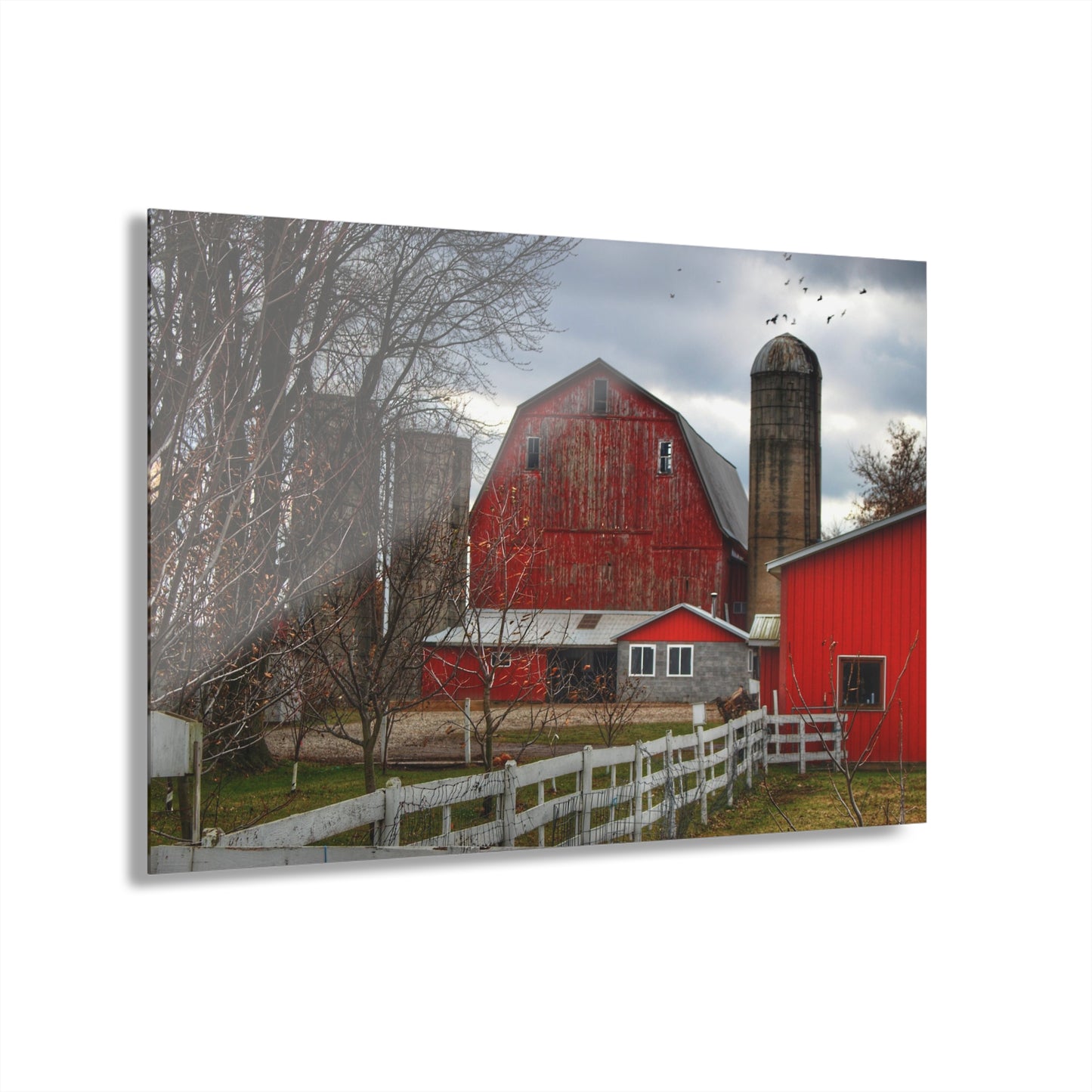 Barn Boutique Modern Farmhouse Acrylic Wall Print| Peck Red