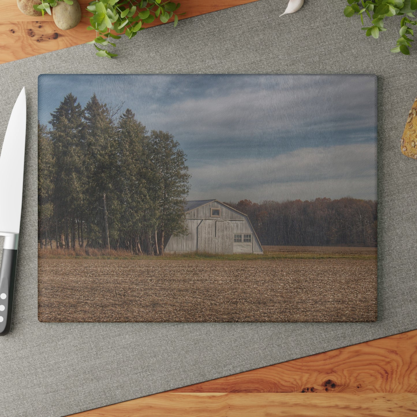 U R There Photography Grey Quonset Among the Pines Rustic Farmhouse Tempered-Glass Cutting Board