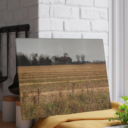 U R There Photography Freiberger Road Grey Across the Field Rustic Farmhouse Tempered-Glass Cutting Board