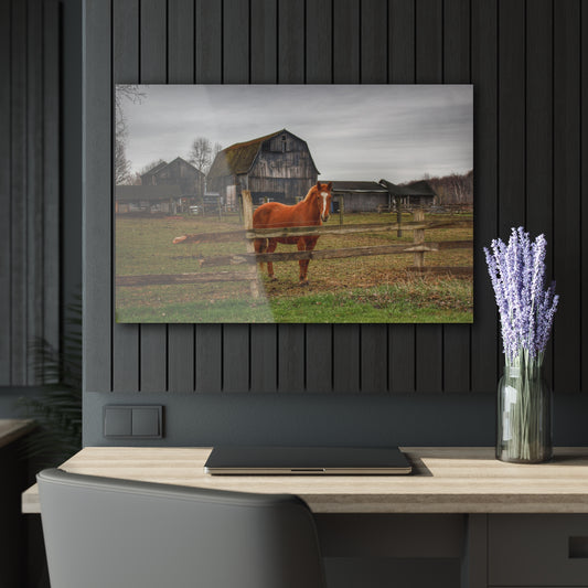 Barn Boutique Modern Farmhouse Acrylic Wall Print| South Summers Road Old Grey and Caramel IV