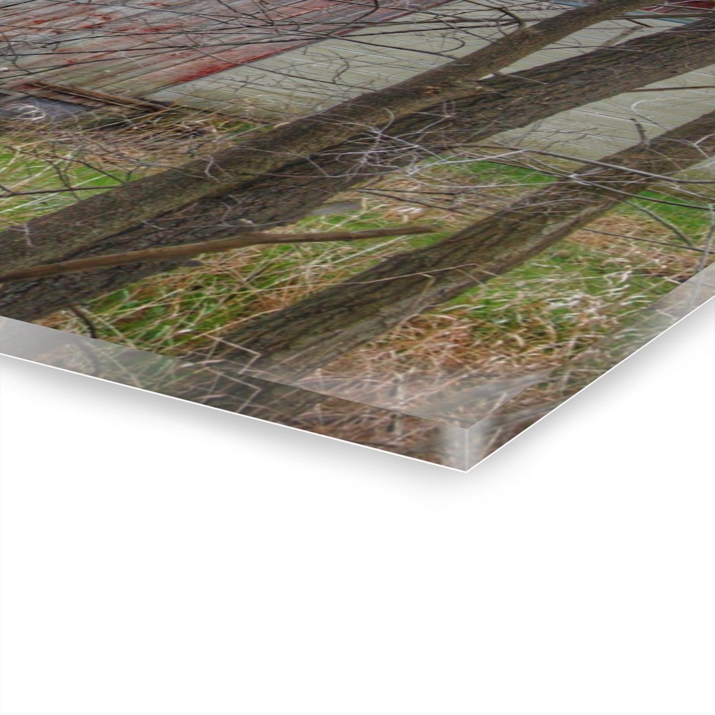 U R There Photography Lake George Red I Rustic Farmhouse Acrylic Wall Print