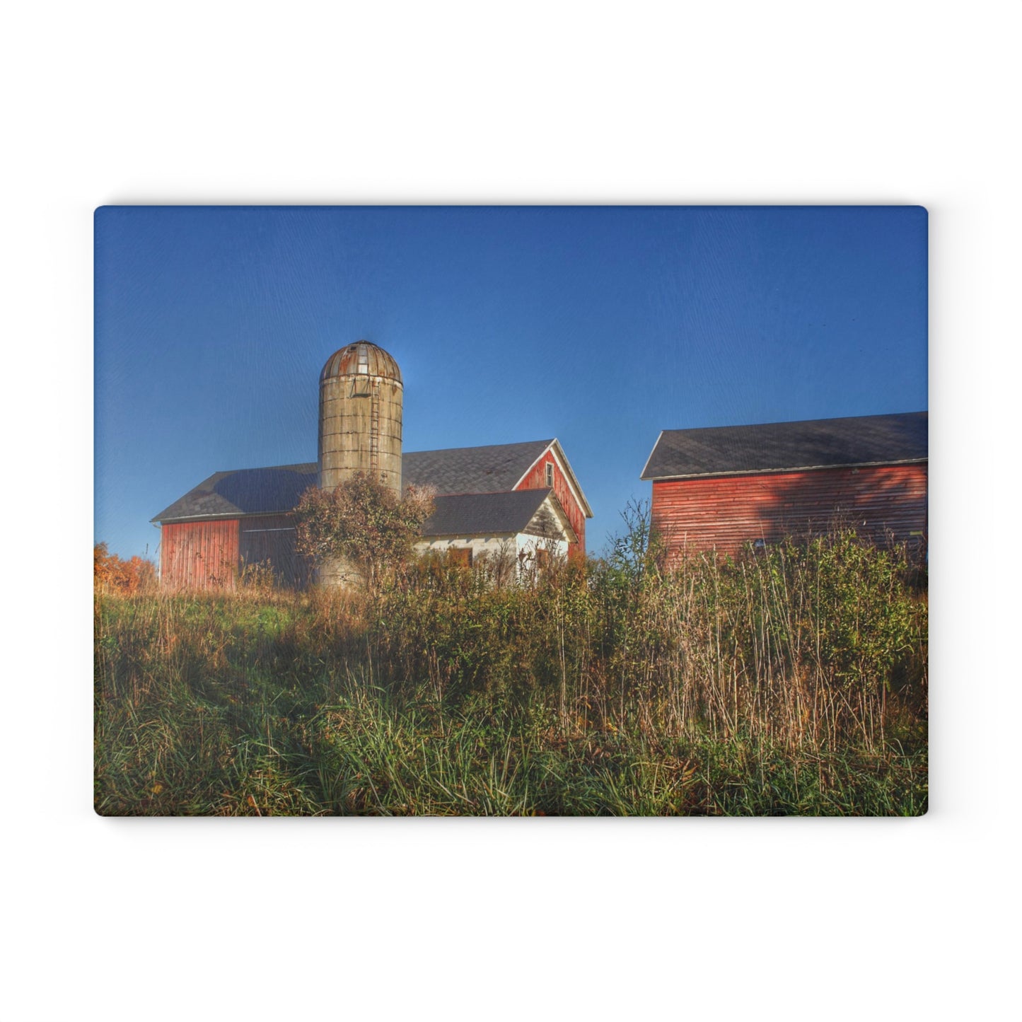 U R There Photography Clarkston Road Red II Rustic Farmhouse Tempered-Glass Cutting Board