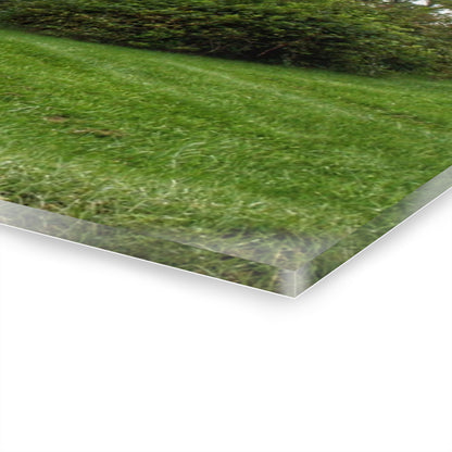 U R There Photography Dequindre Road Grey III Rustic Farmhouse Acrylic Wall Print