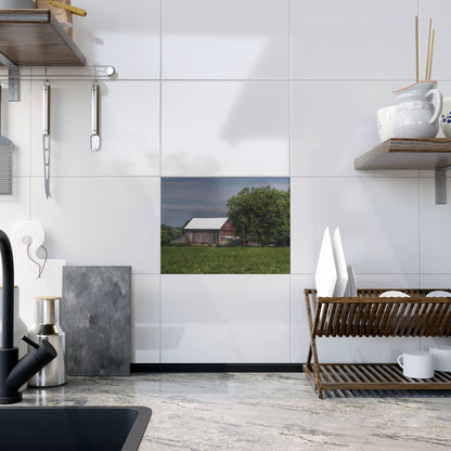 U R There Photography Castle Road Cow Barn III Rustic Farmhouse Decorative Ceramic Tile