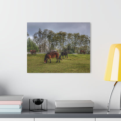 Barn Boutique Modern Farmhouse Acrylic Wall Print| Delano Ponies