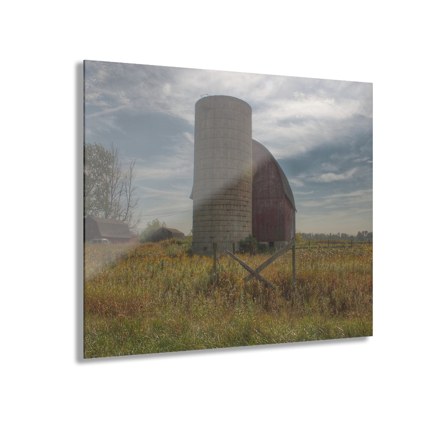 U R There Photography Mushroom Road Red II Rustic Farmhouse Acrylic Wall Print