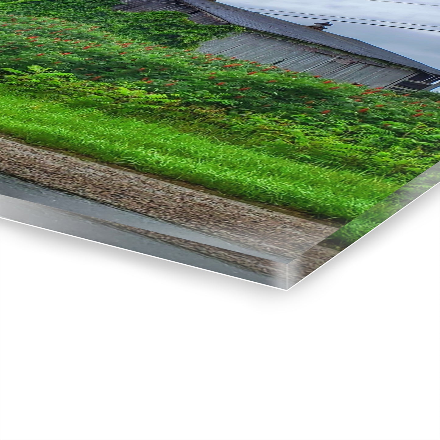 U R There Photography Metamora M-24 Grey IV Rustic Farmhouse Acrylic Wall Print