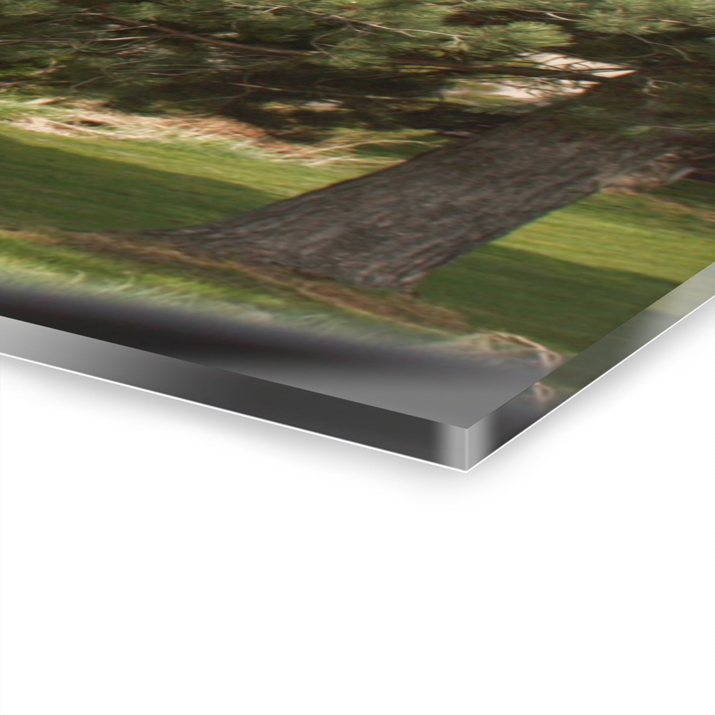 U R There Photography McAlpine Hidden Red Rustic Farmhouse Acrylic Wall Print