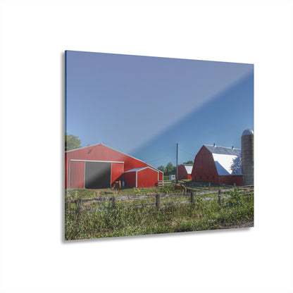 U R There Photography Mount Morris Road Farm and Horse Rustic Farmhouse Acrylic Wall Print