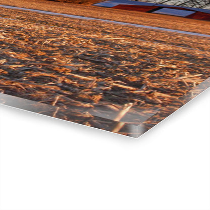 U R There Photography Early Spring on Catlin Road Rustic Farmhouse Acrylic Wall Print