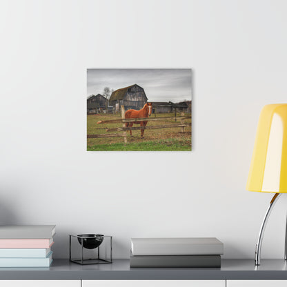 U R There Photography South Summers Road Old Grey and Caramel IV Rustic Farmhouse Acrylic Wall Print