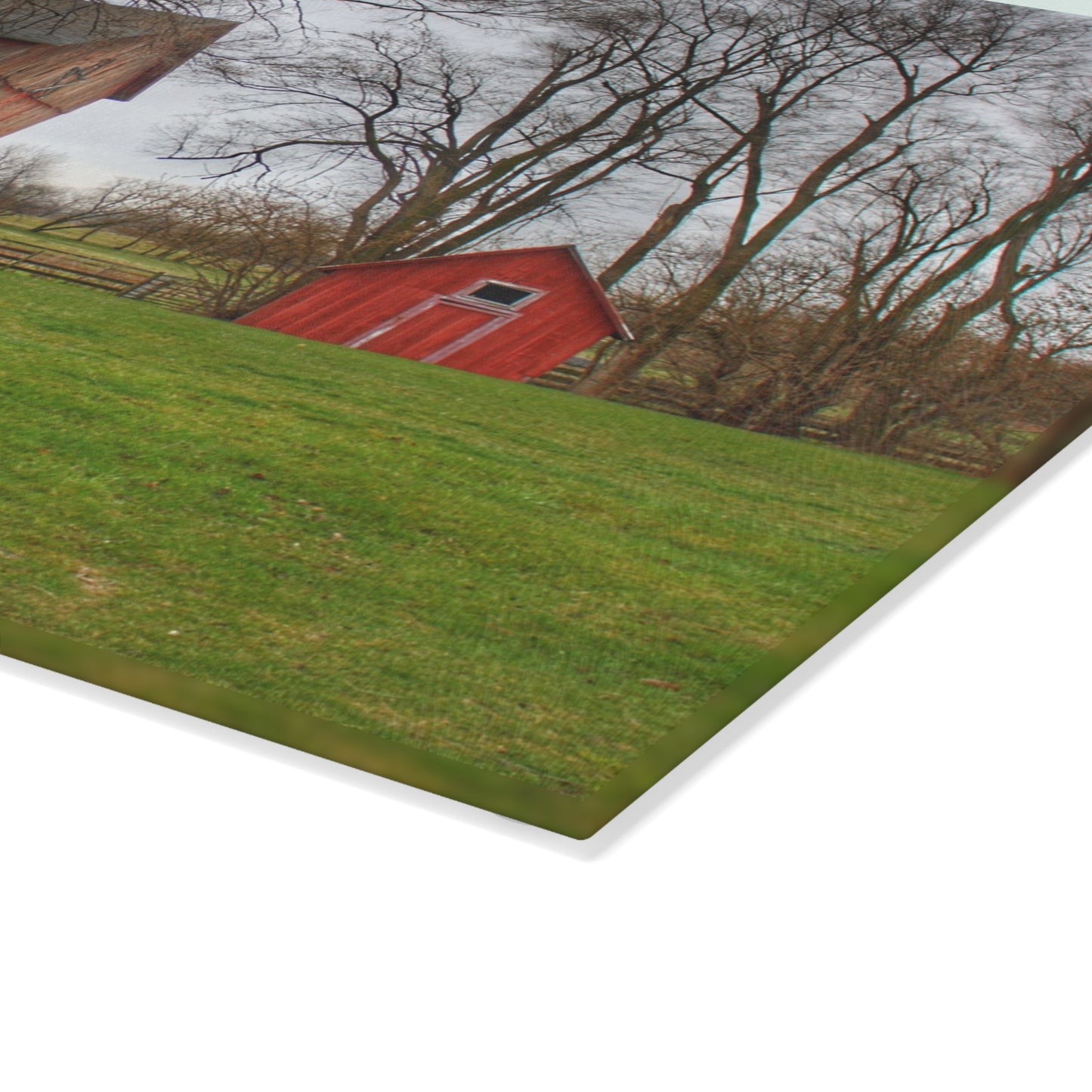 U R There Photography Lake George Red II Rustic Farmhouse Tempered-Glass Cutting Board