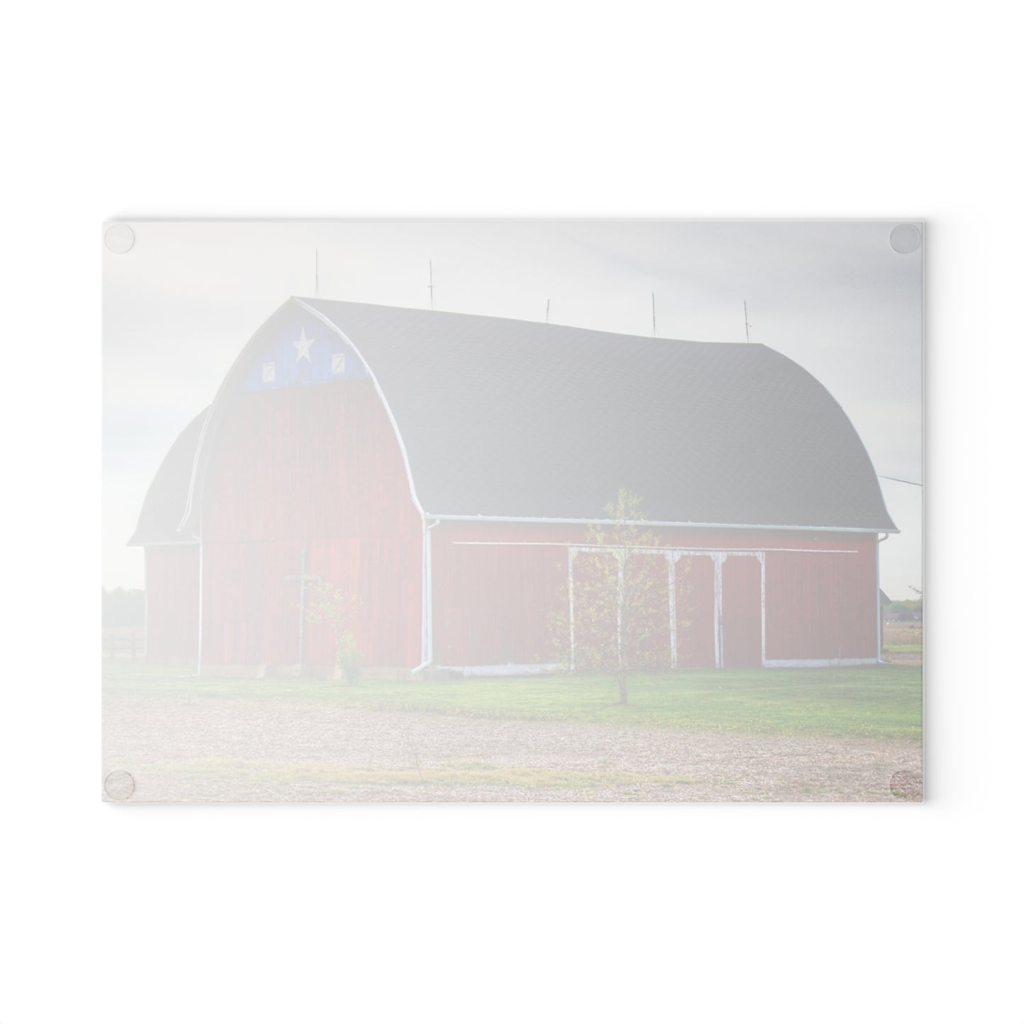 U R There Photography M-24 Star Barn Rustic Farmhouse Tempered-Glass Cutting Board